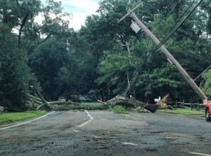Fallen Tree Claim Coverage Suffolk County NY